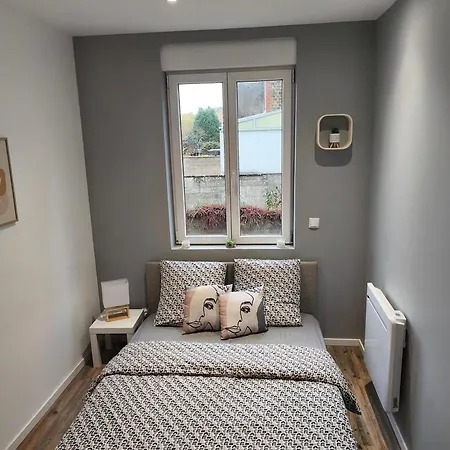 Appartamento Budget Avec Parking Au Centre-ville Charleville-Mézières